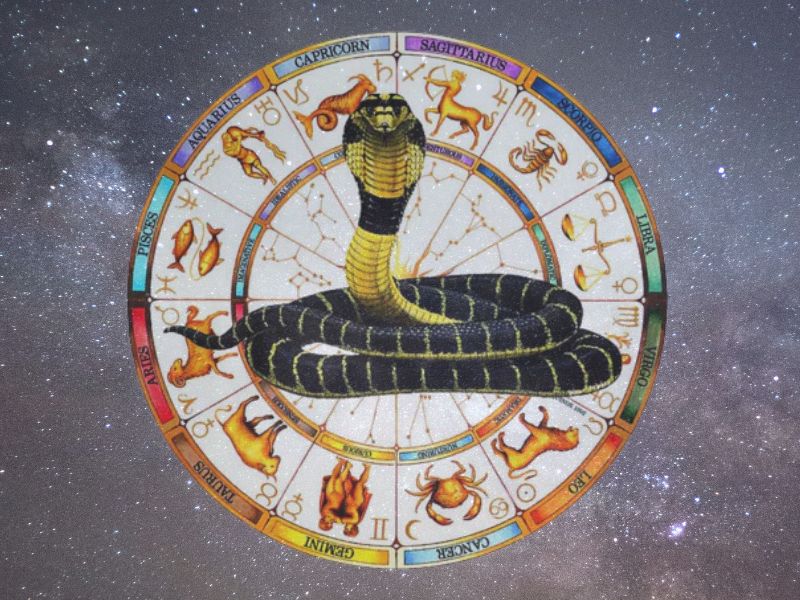 Kalsarp Yog Puja, Kalsarp Yog Puja pandit, Kalsarp Yog Puja Trimbakeshwar