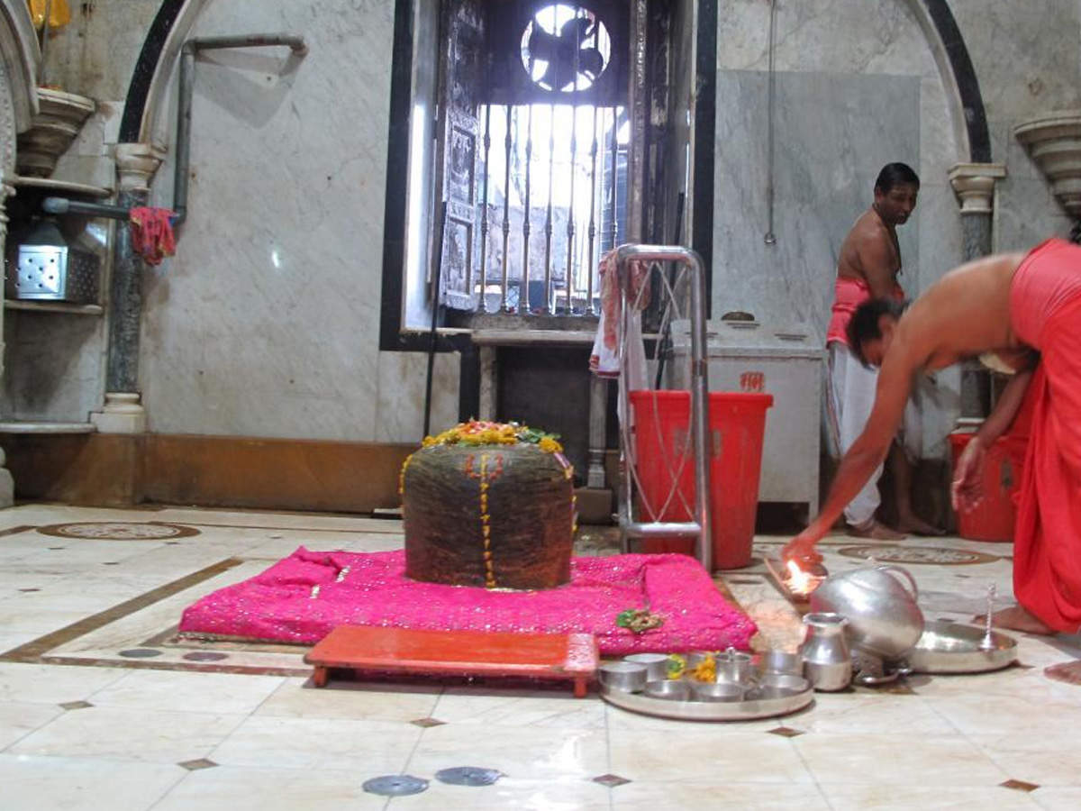 trimbakeshwar temple kaal sarp puja | trimbakeshwar pooja vidhi